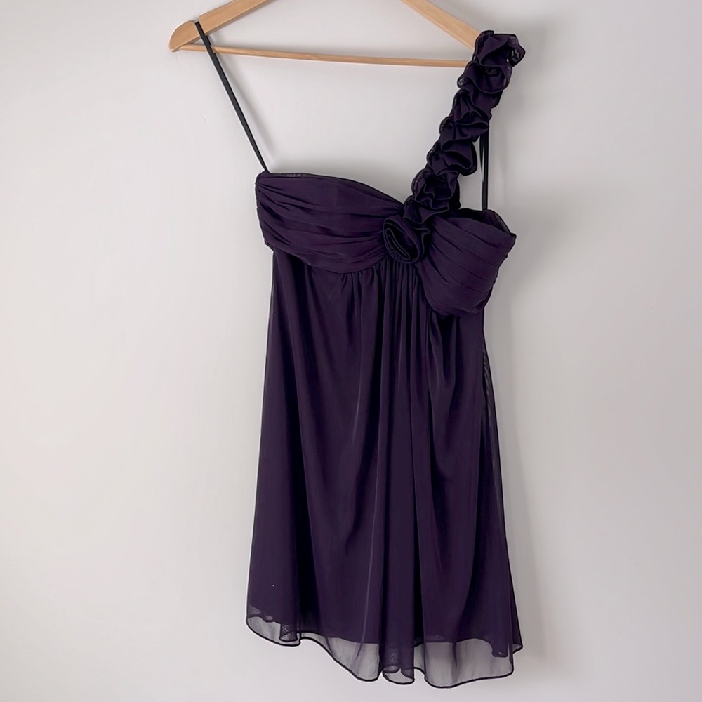 Betsy & Adam, size 10P, plum colored dress